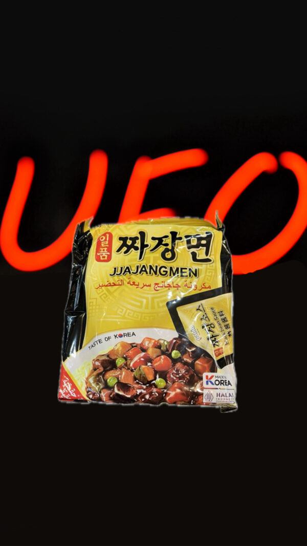 نودل شور و کمی شیرین(Paldo )